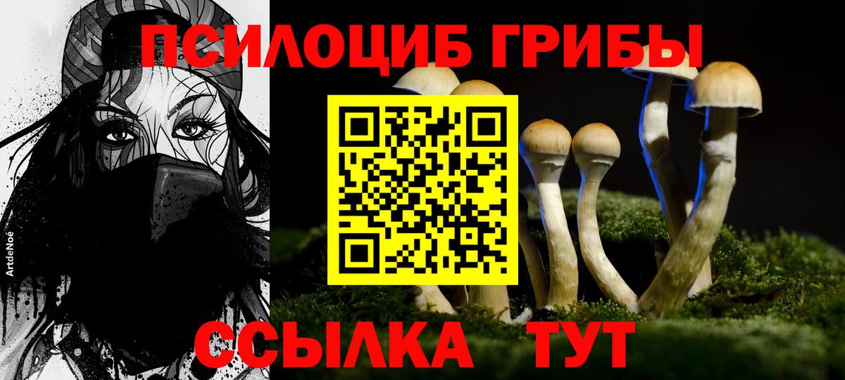Галлюциногенные грибы мухоморы Кимовск